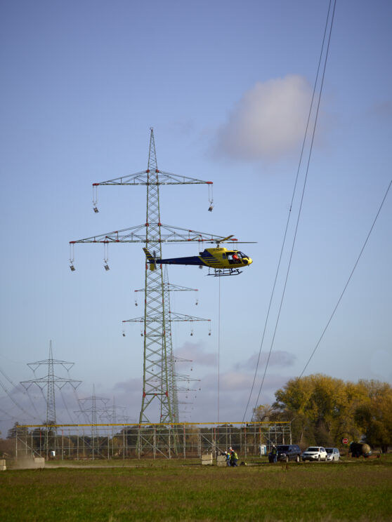 19-10-29-065pauls 19-10-29-065pauls